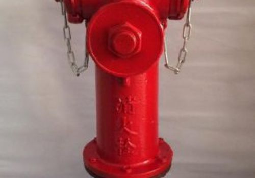 Trụ chữa cháy 3 cửa ra: 2D65 x 1D100(Mai Động 1)